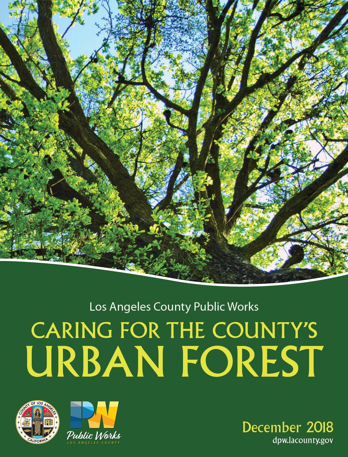 Caring for Our Urban Forest Booklet